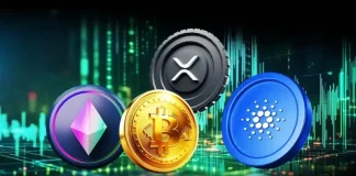 Will Crypto Market Crash This Week? Analysts Predict Timeline for Volatility