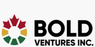 Bold Ventures Announces Results of Fall Sampling Program at Burchell