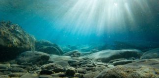 New Research on Deep-Sea Mineral Sources Reveals Ecological Importance